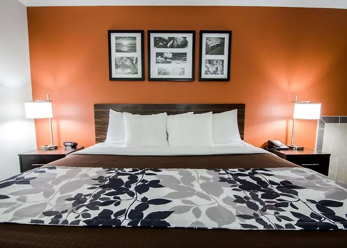 Sleep Inn & Suites And Conference Center Downtown Indianapolis